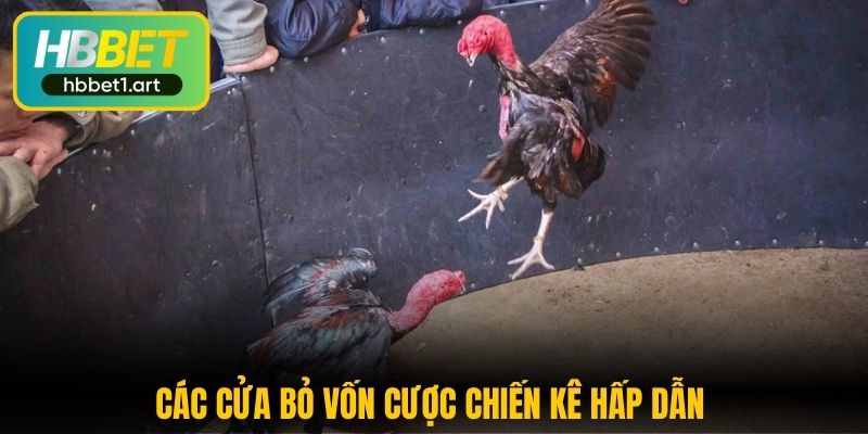 cac cua bo von cuoc chien ke hap dan 1