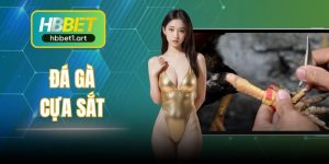 Đá Gà Cựa Sắt HBBet - Bùng Nổ Cảm Giác Hồi Hộp Mỗi Trận Đấu
