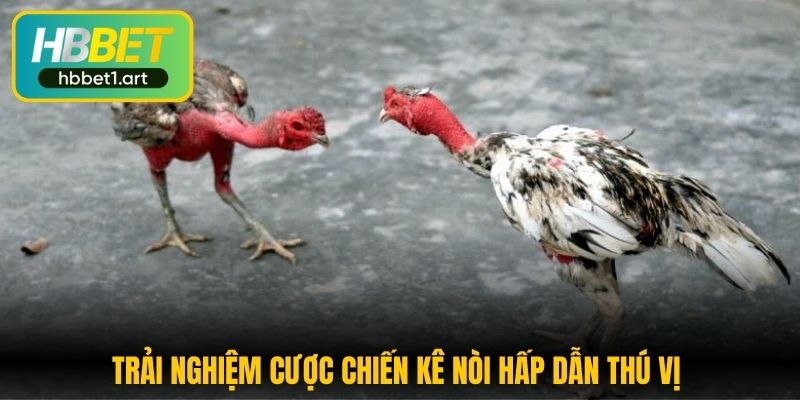 trai nghiem cuoc chien ke noi hap dan thu vi 1